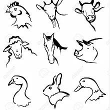 22348431-animales-de-granja-colección-de