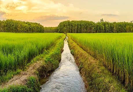 AdobeStock_246024385 AdobeStock_246024385
